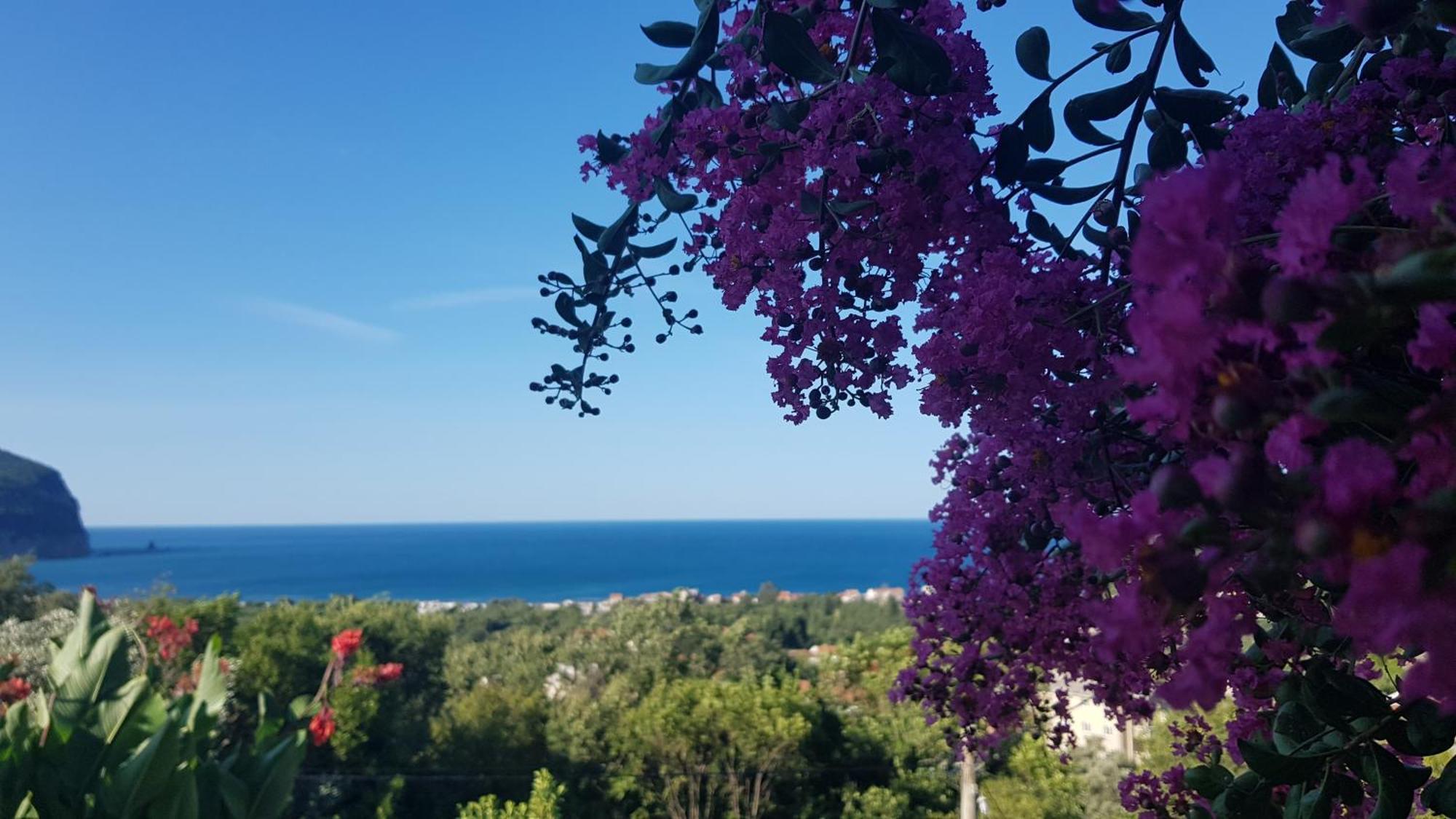Vila Pogled Petrovac Exterior photo